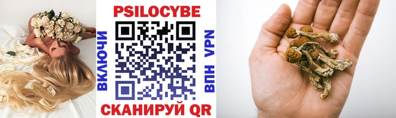 Псилоцибиновые грибы GOLDEN TEACHER  Купить  Уржум 