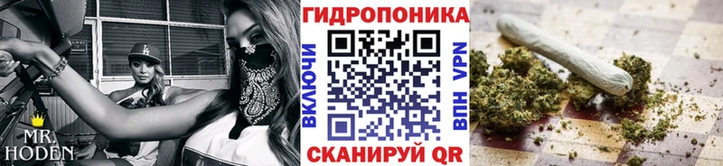 Бошки Шишки план  Купить  Уржум 
